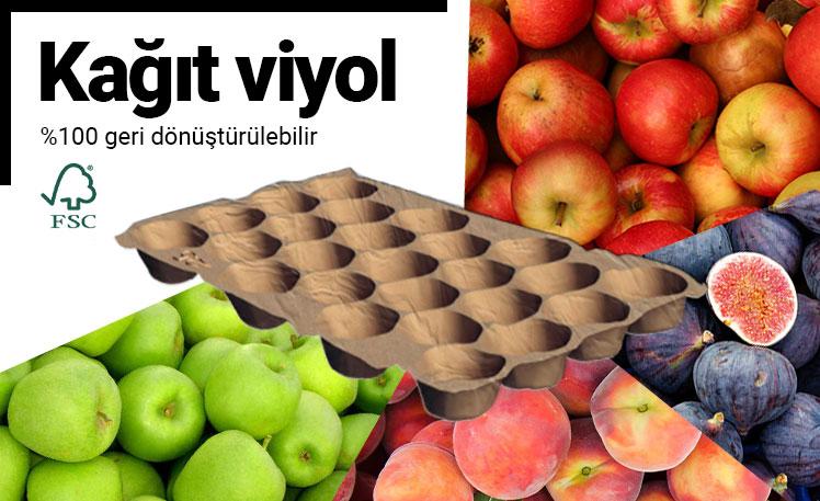2020 Fruit Logistica Berlin fuar katılımımızdan yeni ürün Kağıt Viyol blog görseli