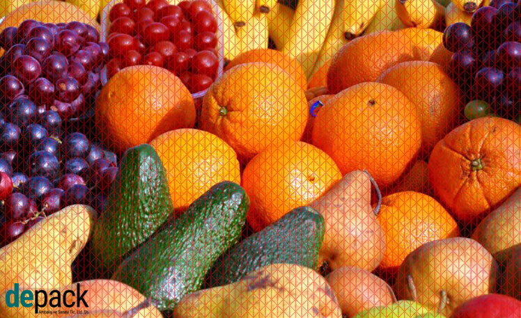 Meyve sebzelerin taşınmasına yönelik hazırlanan tebliğin uygulanmasına başlandı blog görsel 1