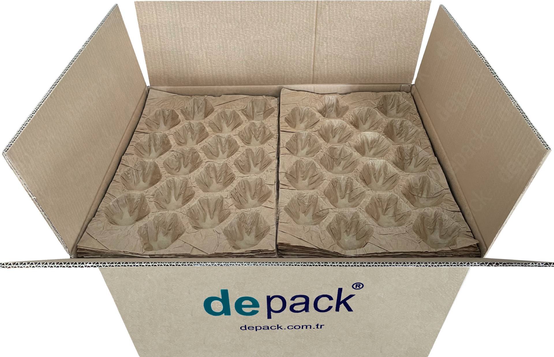 Depack Packaging stacked Paper Tray in a cardboard box